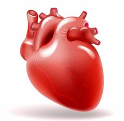 Cardiovascular Diseases