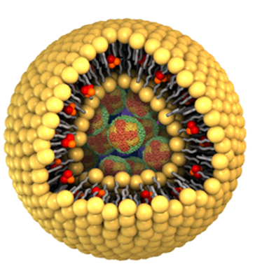 Hypoxia-tropic nanozymes as oxygen generators for tumor-favoring theranostics