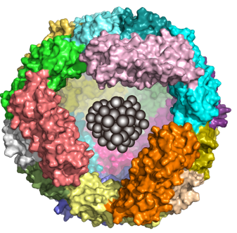 Modular Assembly of Tumor-Penetrating and Oligomeric Nanozyme Based on Intrinsically Self-Assembling Protein Nanocages