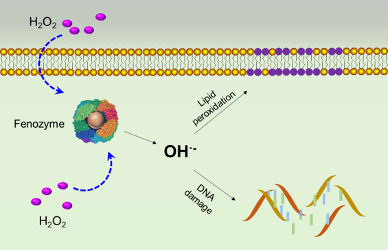 Nanozyme-Powered Giant Unilamellar Vesicles for Mimicry and Modulation of Intracellular Oxidative Stress