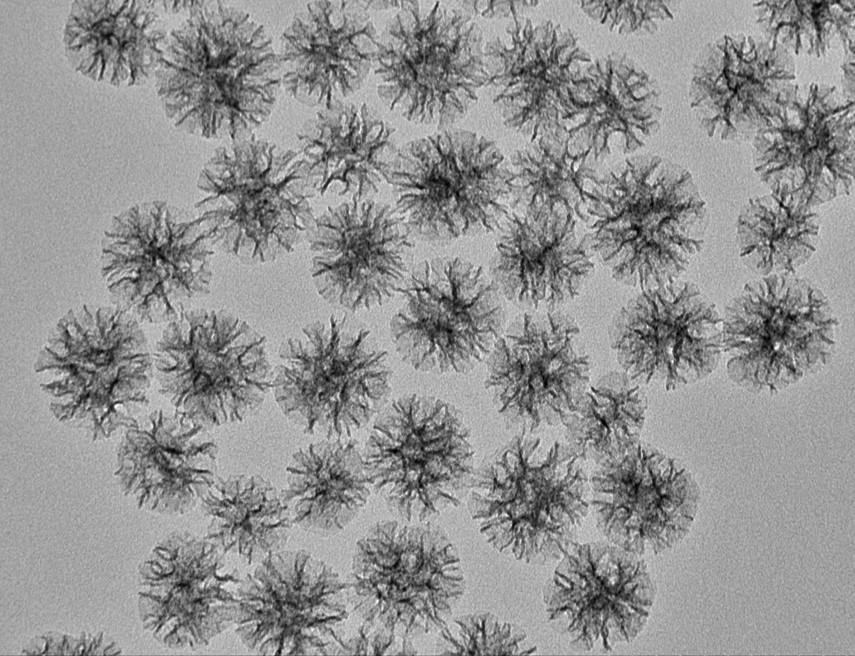 Genetically Engineered Protein Corona-based Cascade Nanozymes for Enhanced Tumor Therapy.