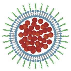 Mitochondria-targeted nanozymes eliminate oxidative damage in retinal neovascularization disease.