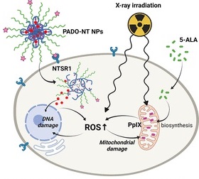 Combining Doxorubicin-Conjugated Polymeric Nanoparticles and 5-Aminolevulinic Acid for Enhancing Radiotherapy against Lung Cancer.