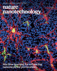 Machine Learning-assisted Single Vessel Analysis of Nanoparticle Permeability in Tumour Vasculatures.