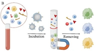 Greatly isolated heterogeneous circulating tumor cells using hybrid engineered cell membrane-camouflaged magnetic nanoparticles