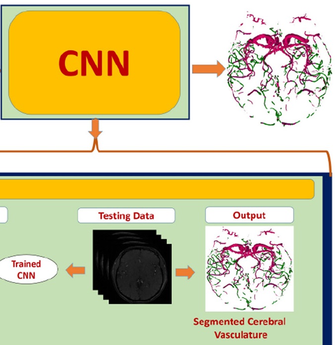 Deep learning technology in vascular image segmentation and disease diagnosis