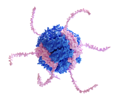 Assembly of Genetically Engineered Ionizable Protein Nanocage-based Nanozymes for Intracellular Superoxide Scavenging